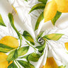 Tela decorativa Panama Limones – blanco/amarillo limón,  thumbnail number 3