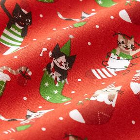 Tela de algodón Cretona Gatos navideños – rojo, 