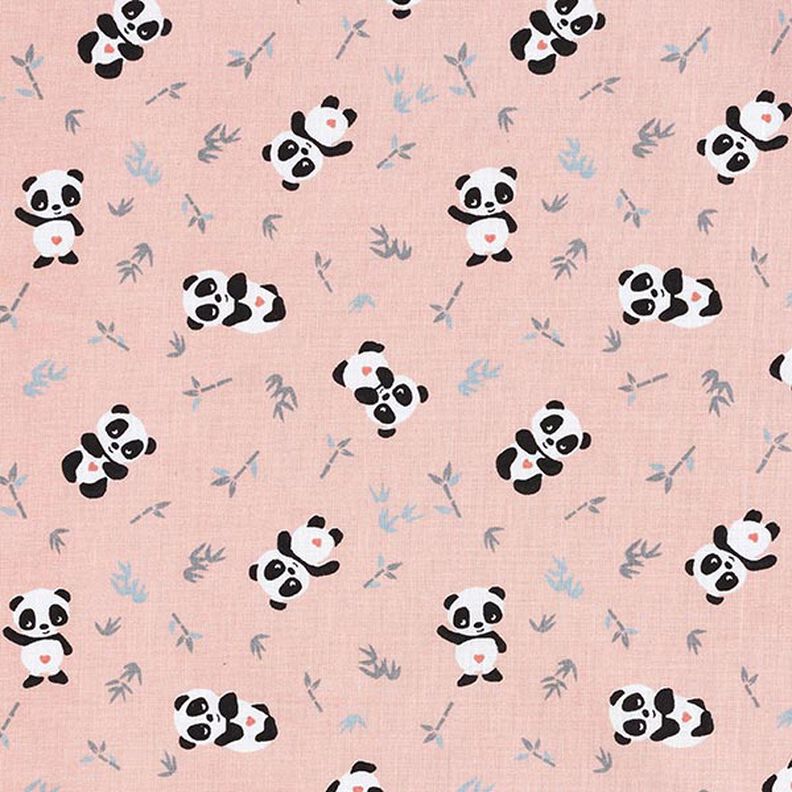 Tela de algodón Cretona panda tierno – rosa,  image number 1